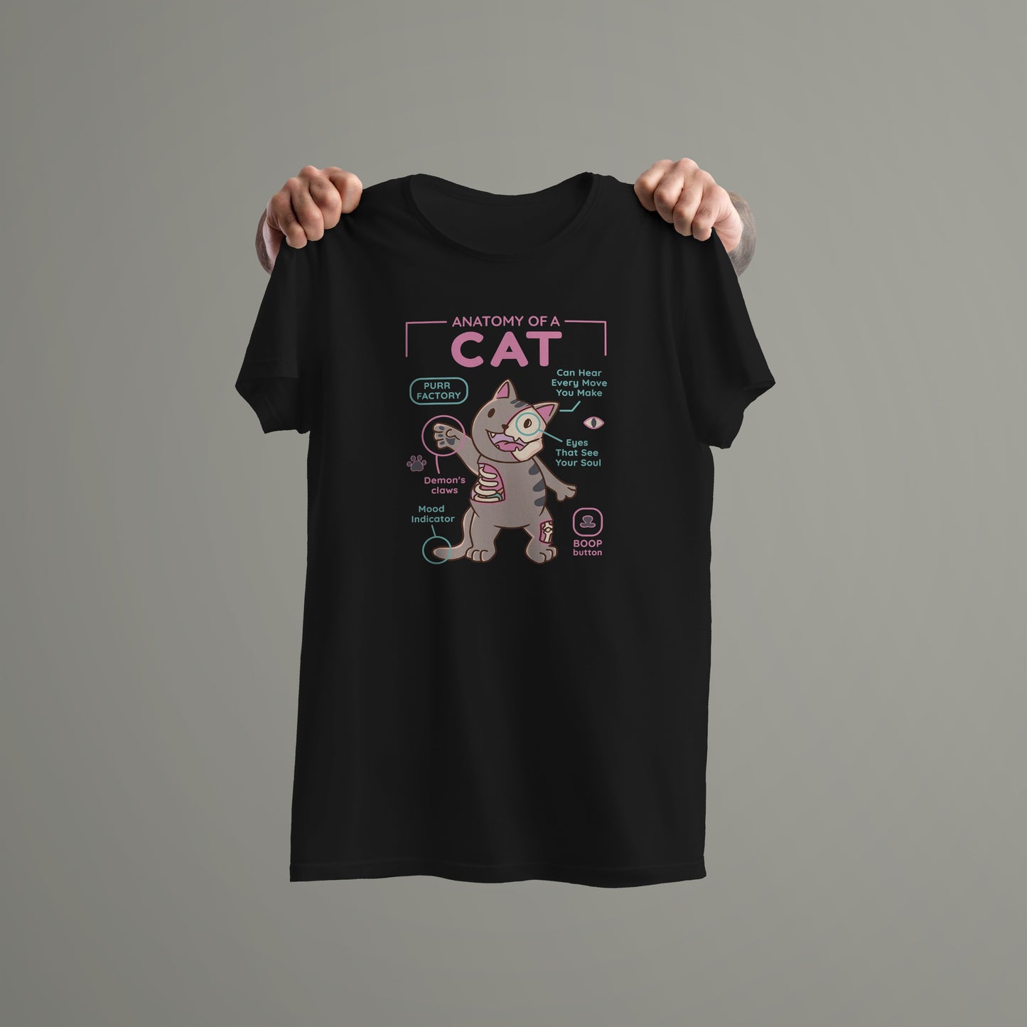 Cat Anatomy