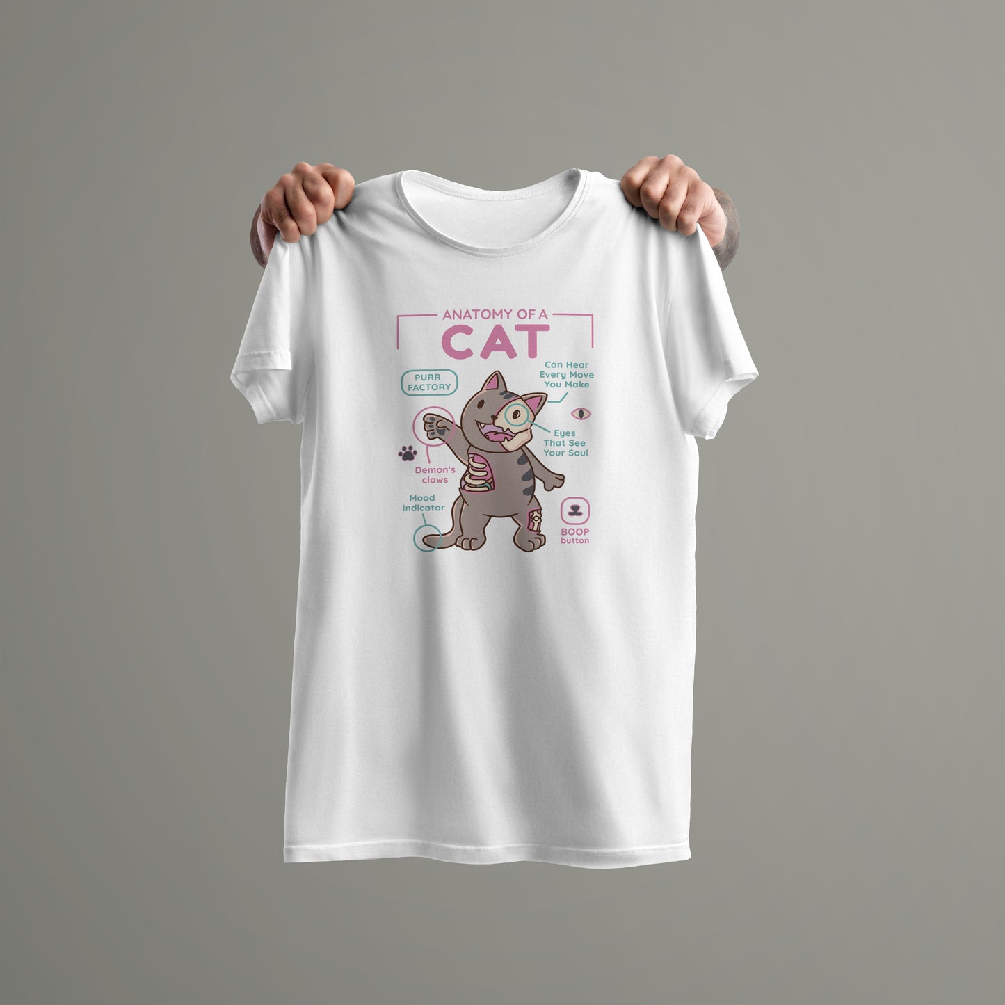 Cat Anatomy