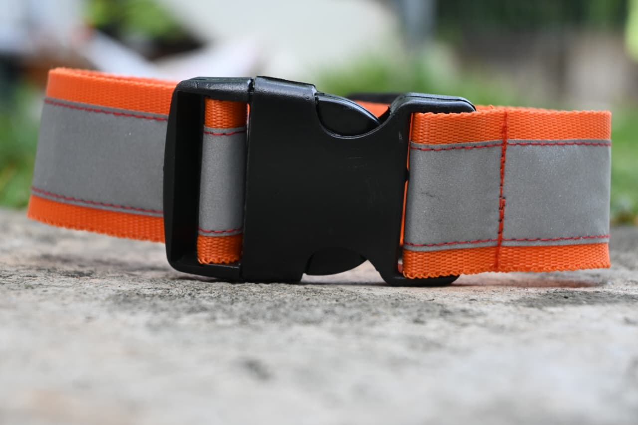 Standard Reflective Collar