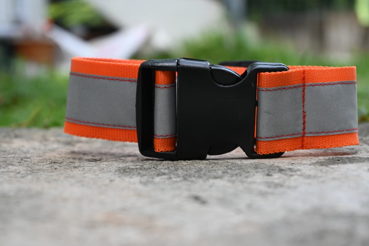 Standard Reflective Collar