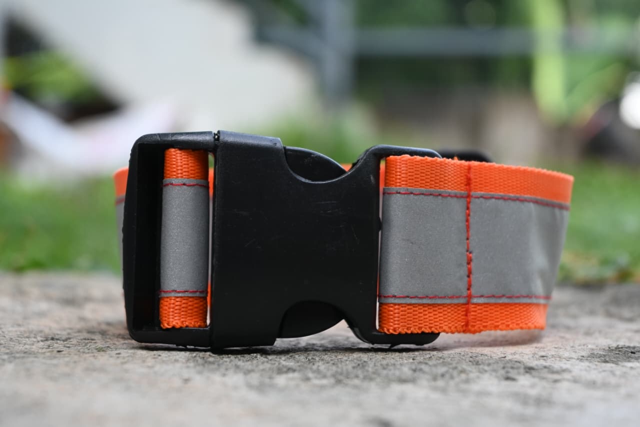 Standard Reflective Collar
