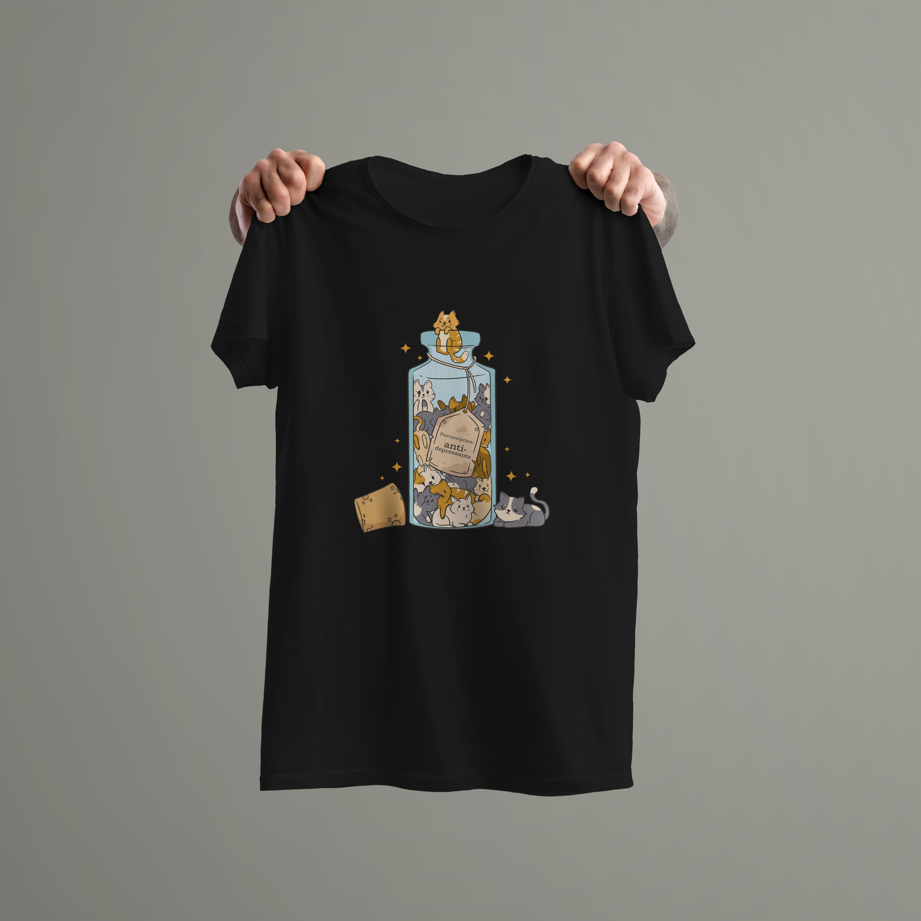 Cat Anti Depressants