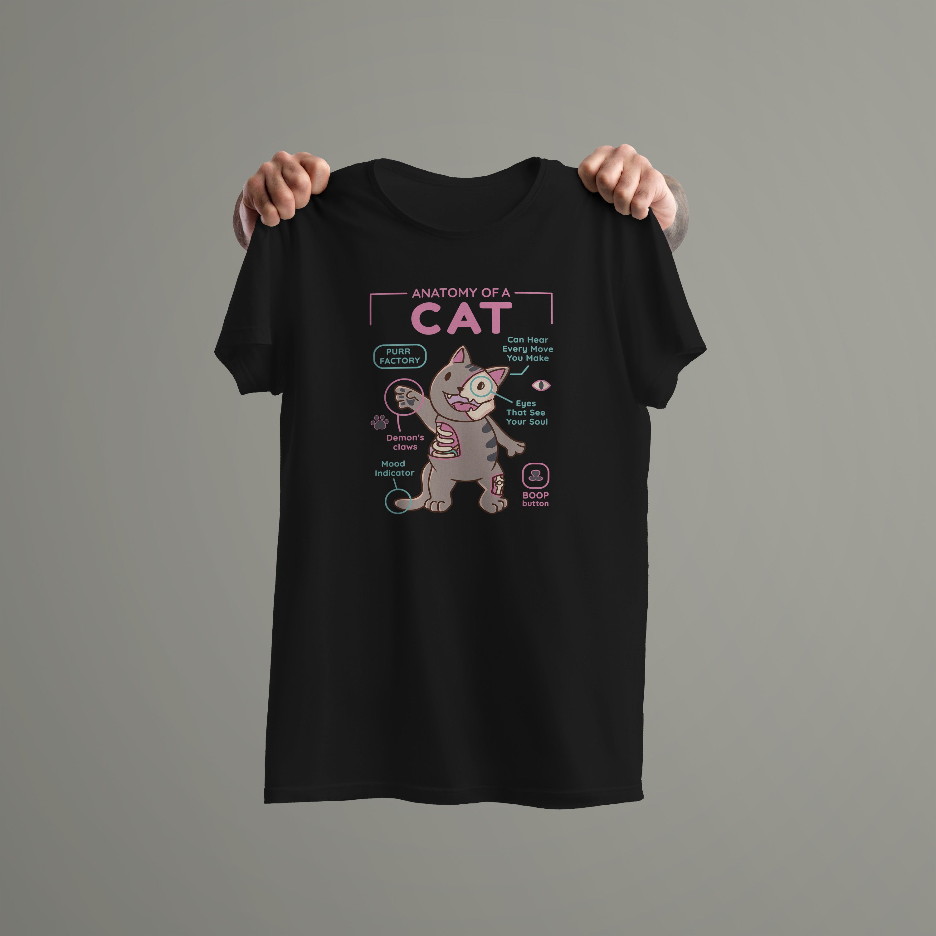 Cat Anatomy