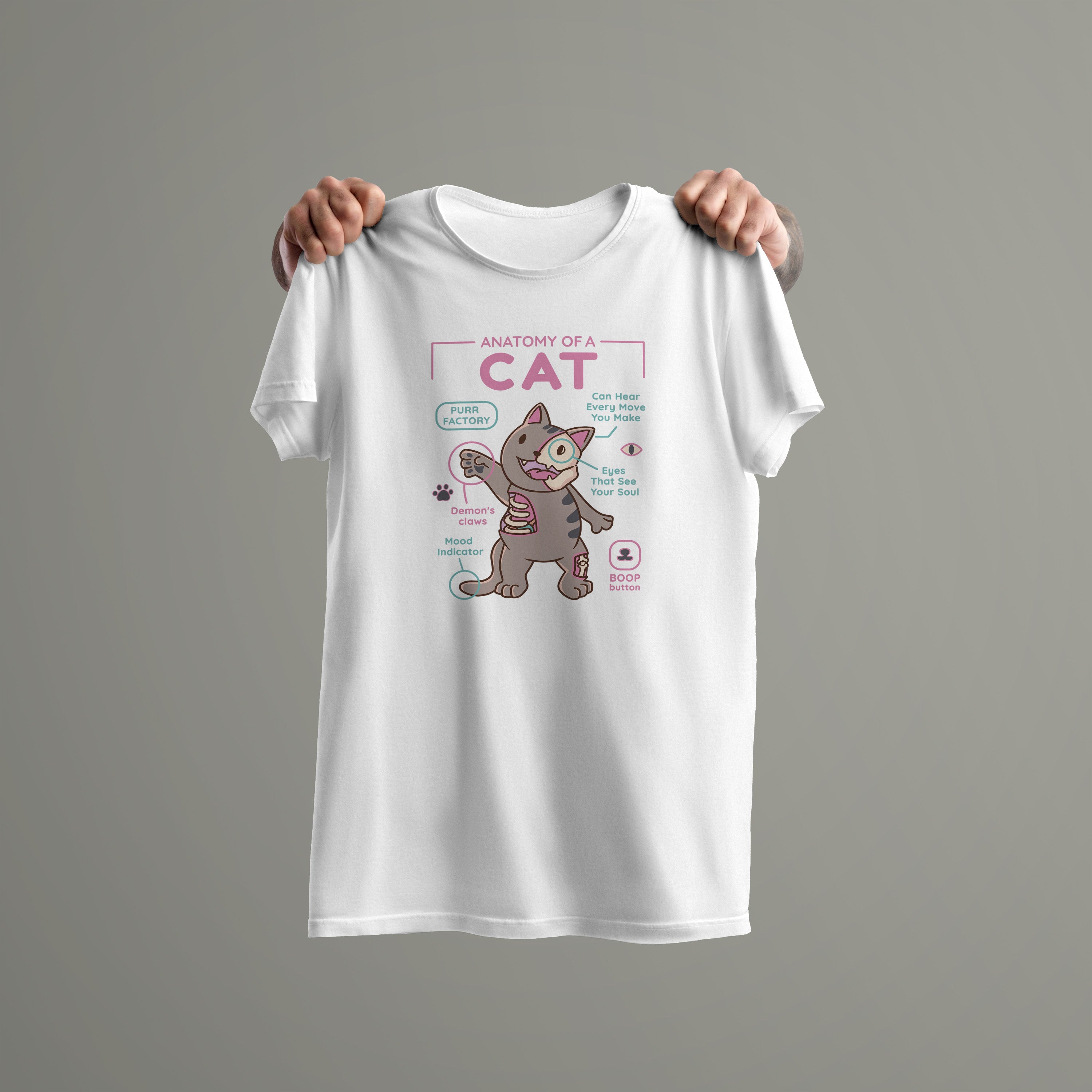 Cat Anatomy