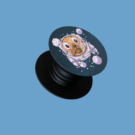 Space Pug